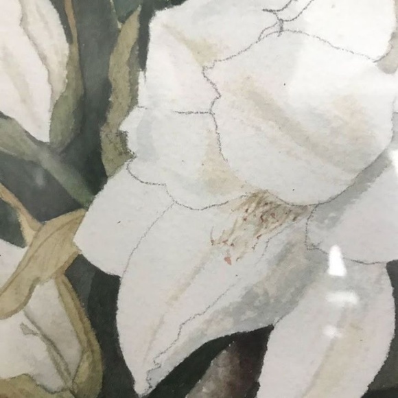 Anita Connelly Watercolor Print Magnolia Flowers - Picture 3 of 6